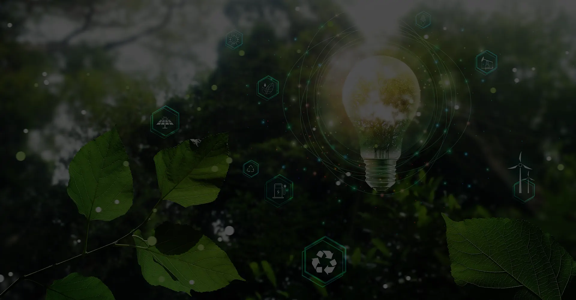 Les energies propres pour un avenir plus sur